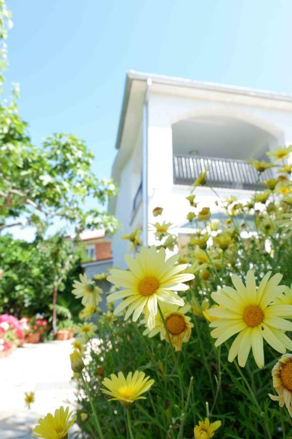 Apartment Ponoš Krk Town Exteriér fotografie